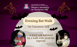 Image: Tumamoc Evening Bat Walk