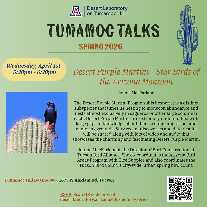 Tumamoc Talks: April