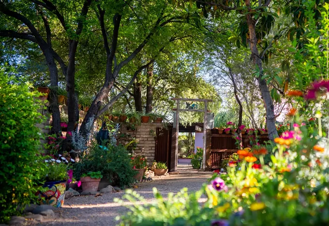 Don’t We Deserve the Best?: Tucson landmark needs your vote