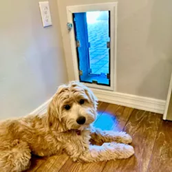 Hale and happy: Pet doors give the best of both worlds