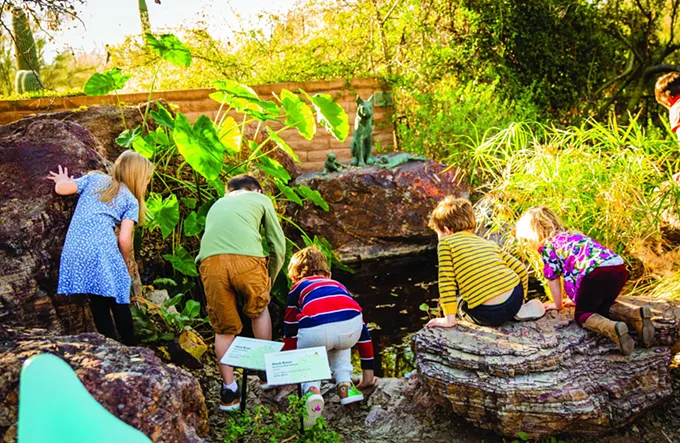 'A Great collaboration': Tohono Chul Park and Children’s Museum Oro Valley provide unity in the Sonoran Desert