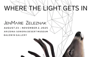 Image: “Where the Light Gets In” Reception