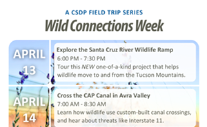 Image: Wild Connections Week - Cross the CAP Canal in Avra Valley
