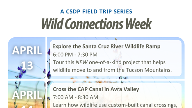 Image: Wild Connections Week - Cross the CAP Canal in Avra Valley