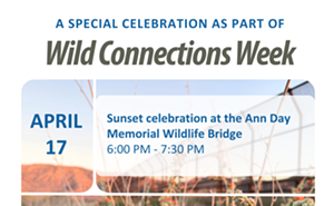Image: Wild Connections Week - Sunset at the wildlife bridge, 10th anniversary celebration!